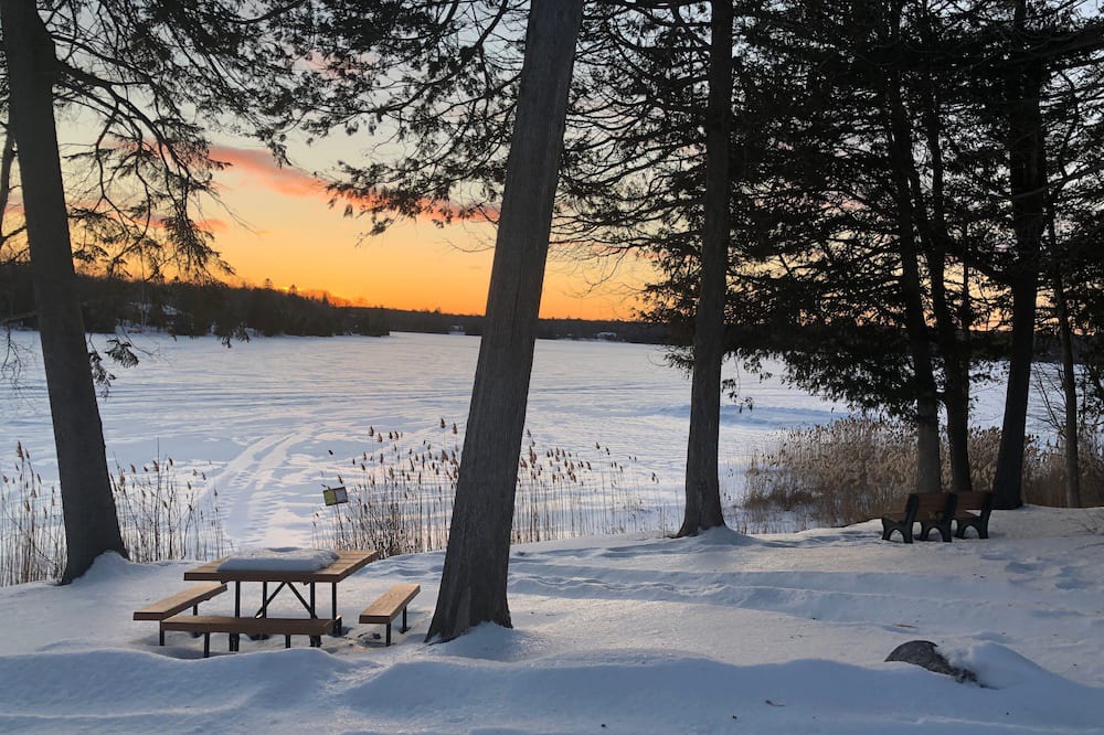 Photo of Outdoor in Trent Lakes