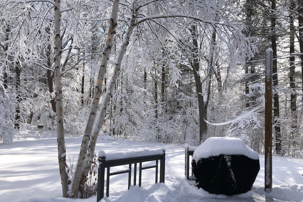 Photo of Outdoor in Trent Lakes