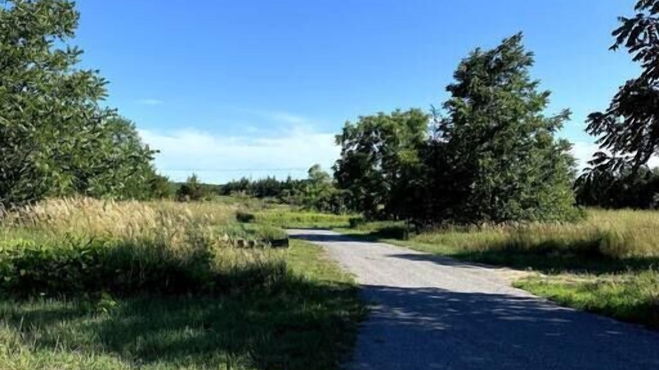Photo of Outdoor in Bongard