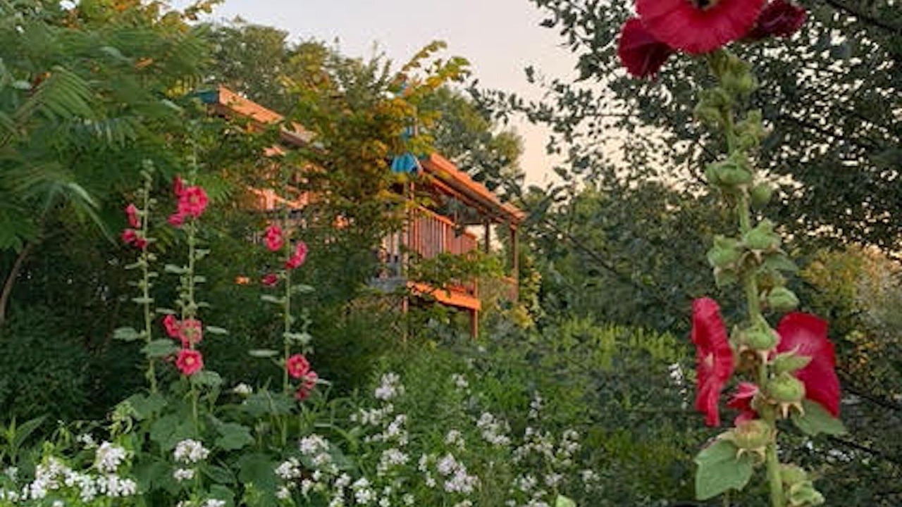 Photo of Outdoor in Georgian Bay