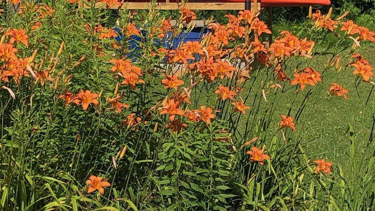 Photo of Outdoor in Georgian Bay