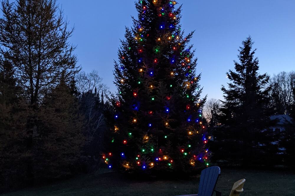 Photo of Outdoor in Baddow