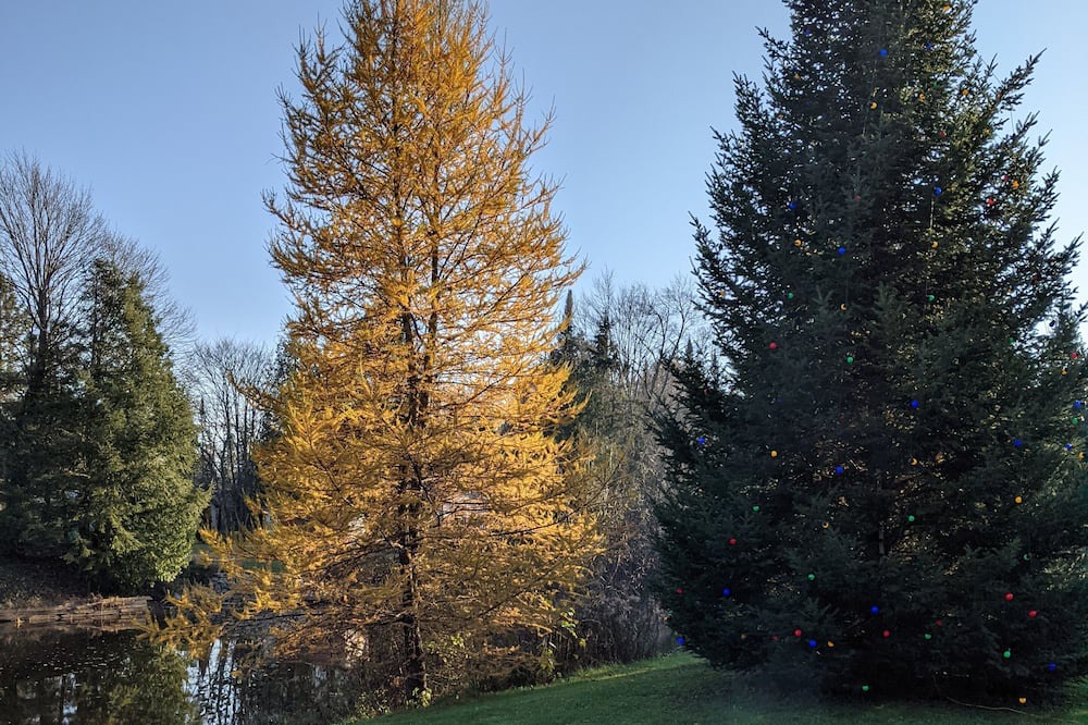 Photo of Outdoor in Baddow