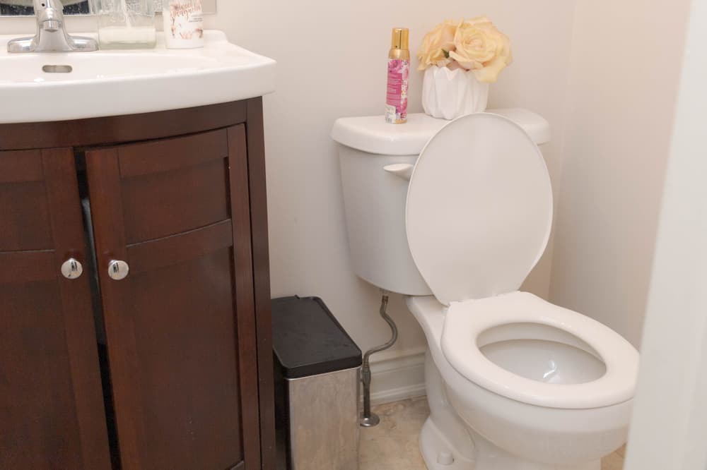 Photo of Bathroom in Brampton