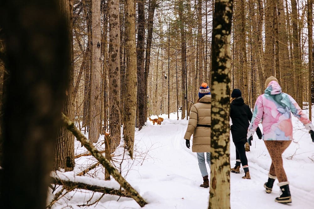 Photo of Others in Baddow