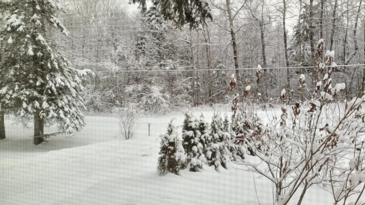 Photo of Outdoor in Baddow