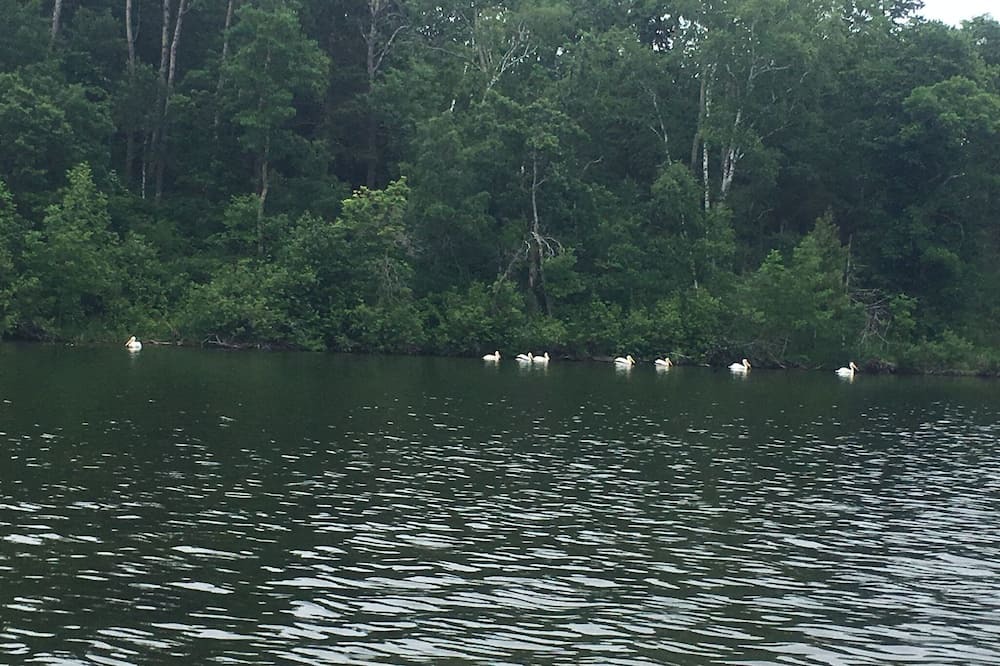 Photo of Outdoor in Cass Lake