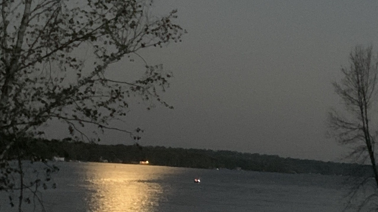Photo of Others in Fenelon Falls