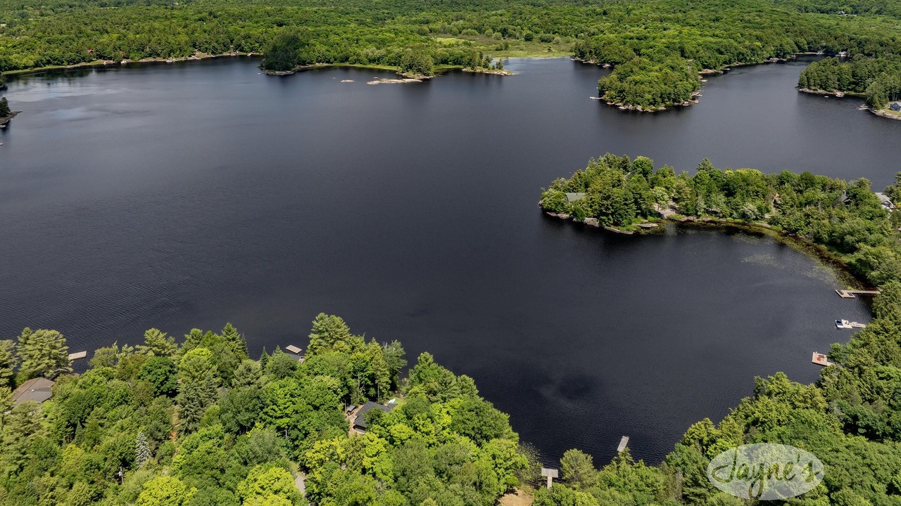 Photo of Outdoor in Muskoka Lakes