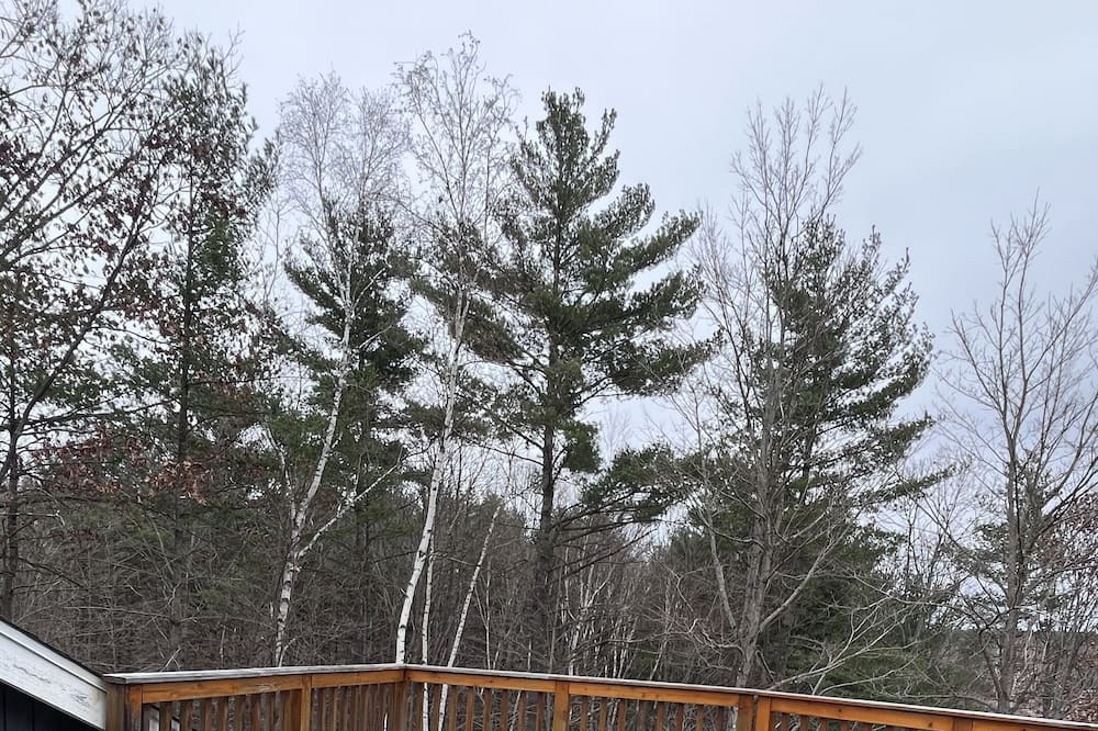 Photo of Outdoor in Greater Madawaska