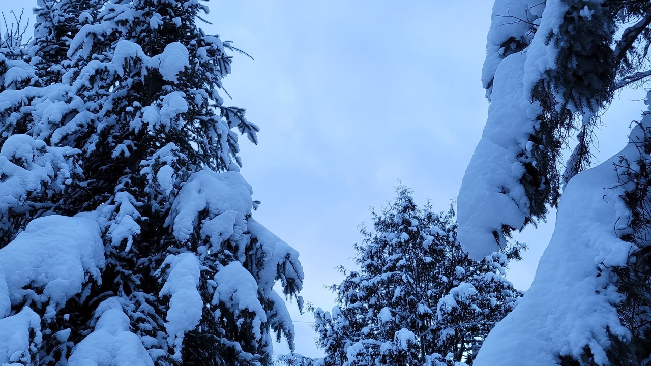 Photo of Outdoor in Irondale