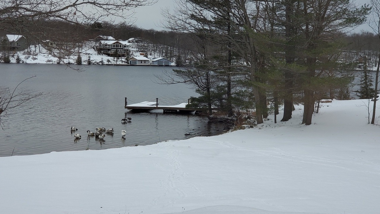 Photo of Outdoor in Georgian Bay