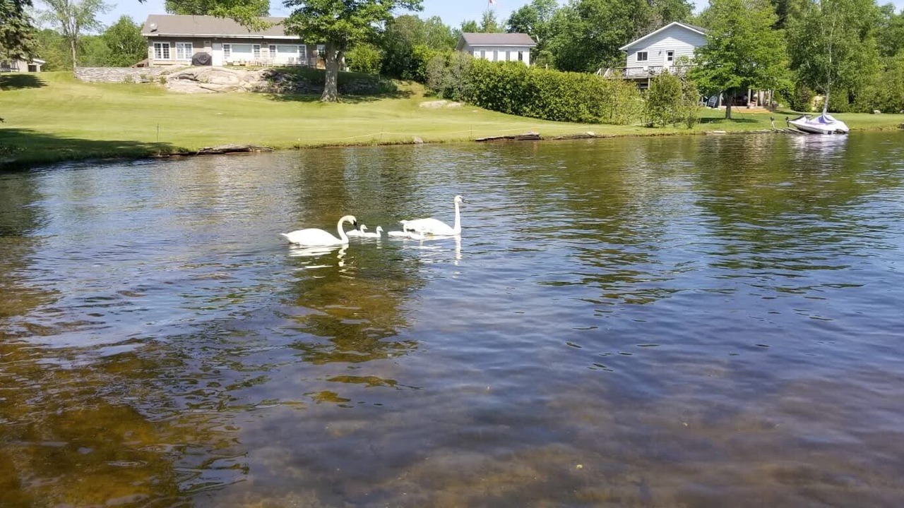 Photo of Outdoor in Georgian Bay