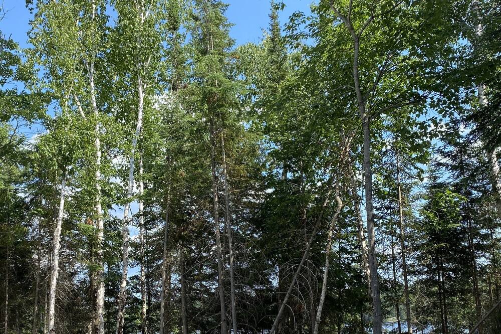 Photo of Others in Algoma District