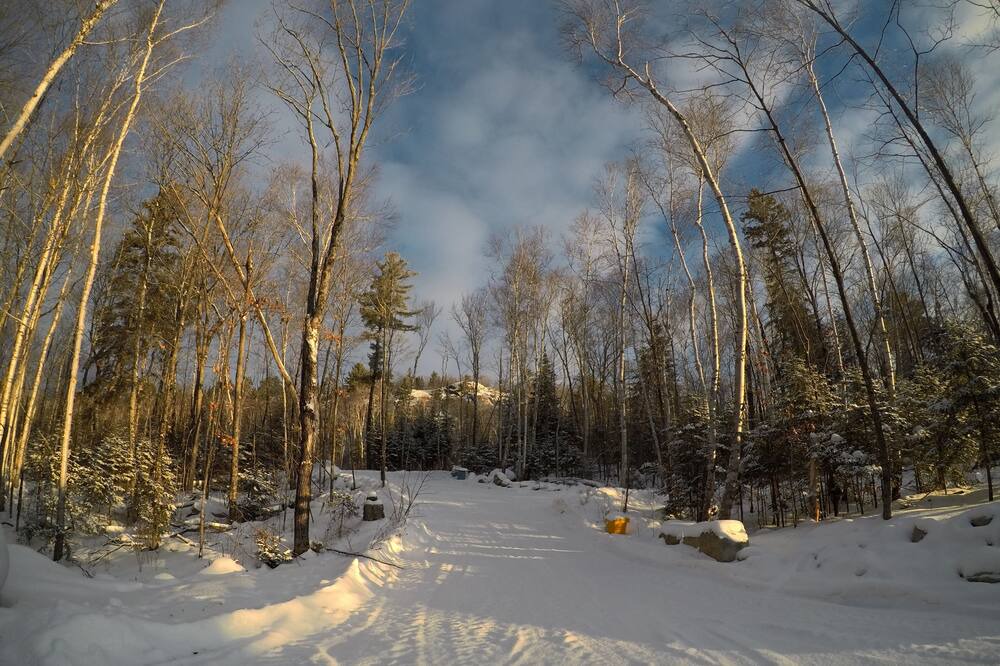 Photo of Others in Algoma District
