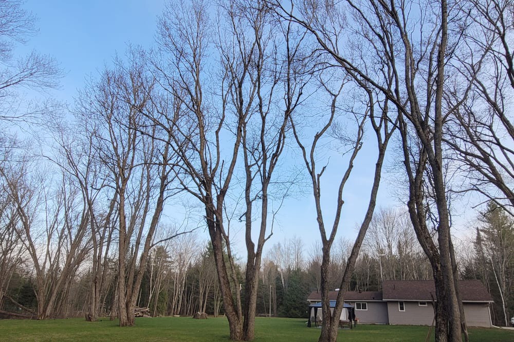 Photo of Outdoor in Washago