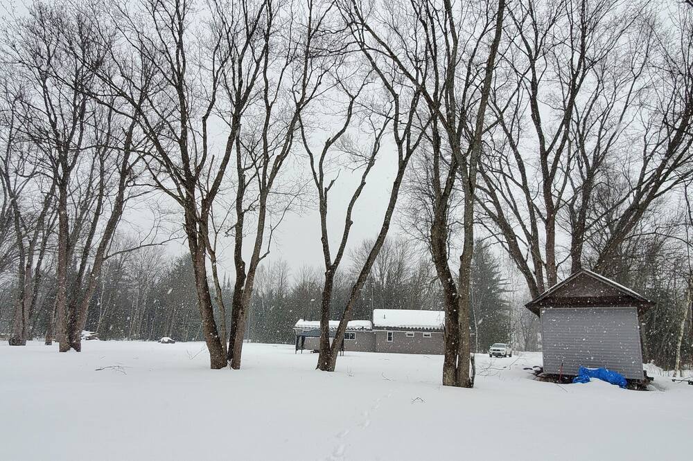 Photo of Others in Washago