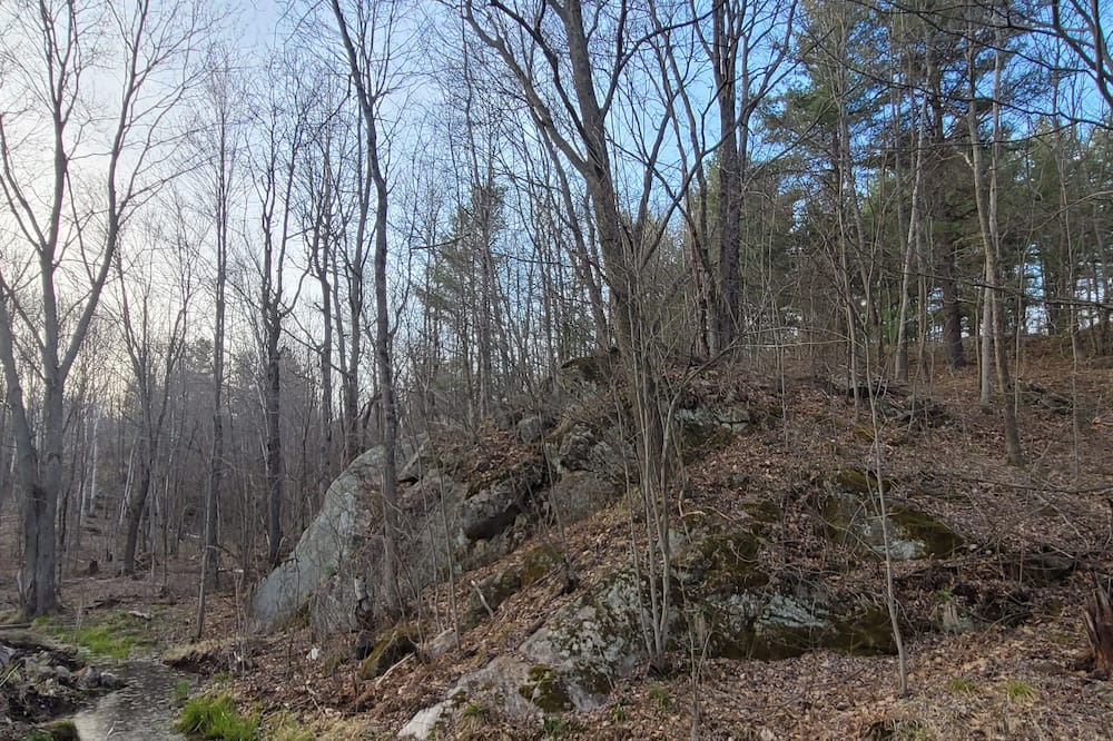 Photo of Outdoor in Washago
