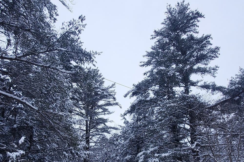 Photo of Outdoor in Washago