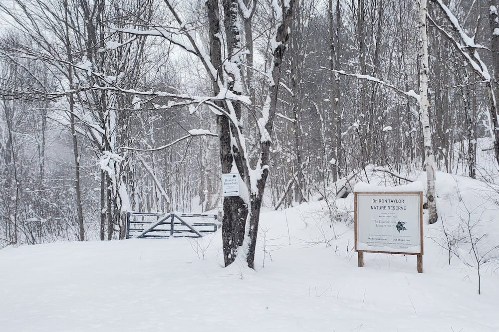 Photo of Others in Washago