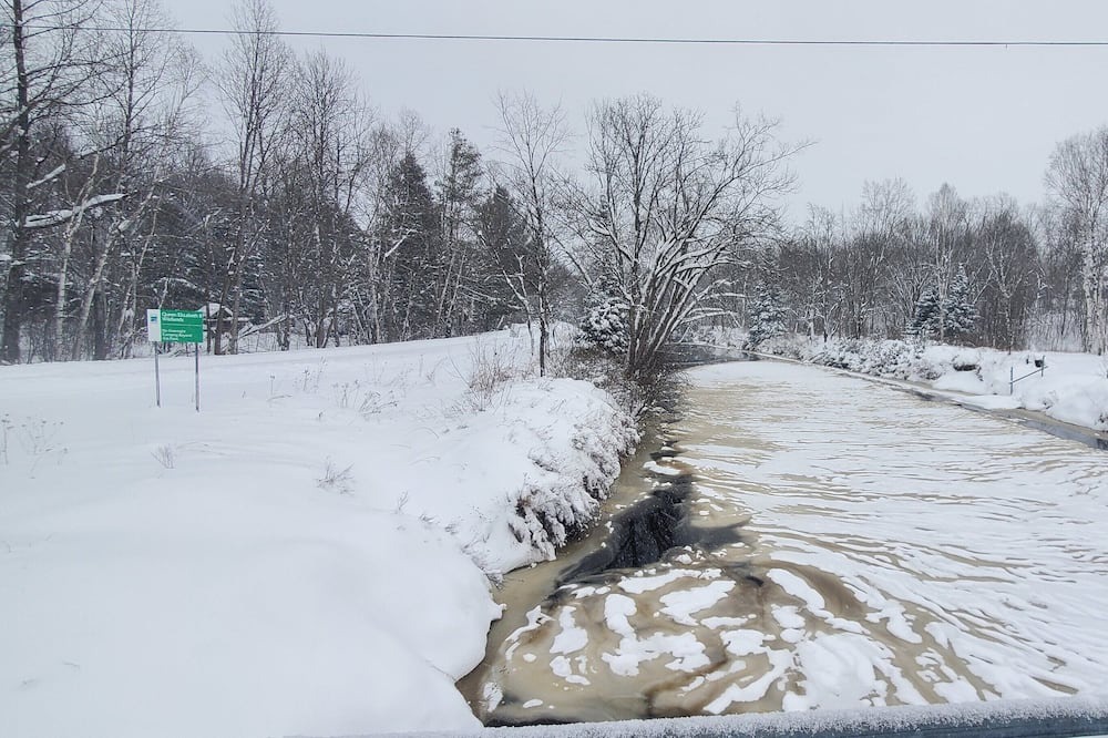 Photo of Others in Washago