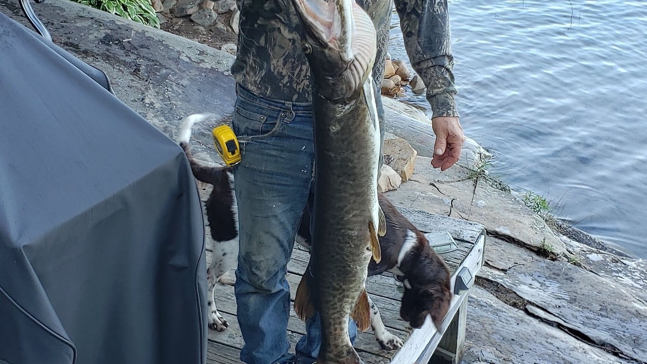 Photo of Outdoor in Algoma District