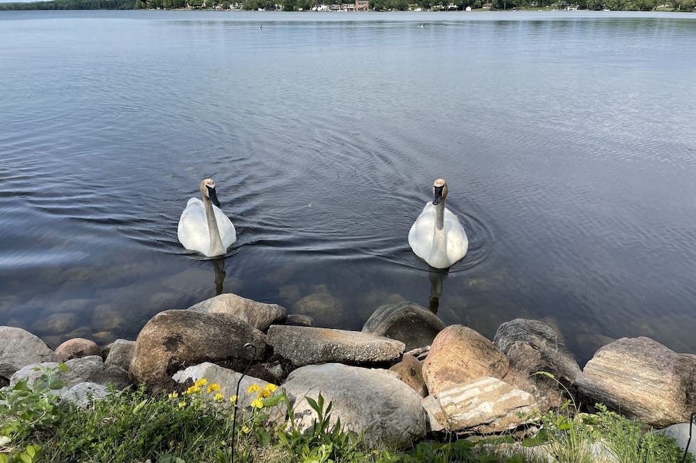 Photo of Others in Orillia