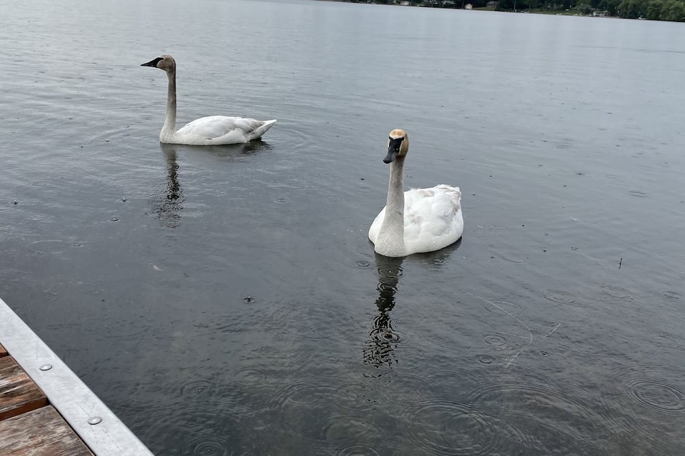 Photo of Outdoor in Orillia