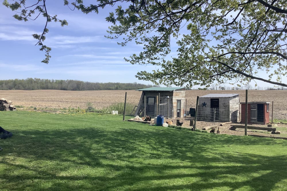 Photo of Outdoor in Malahide