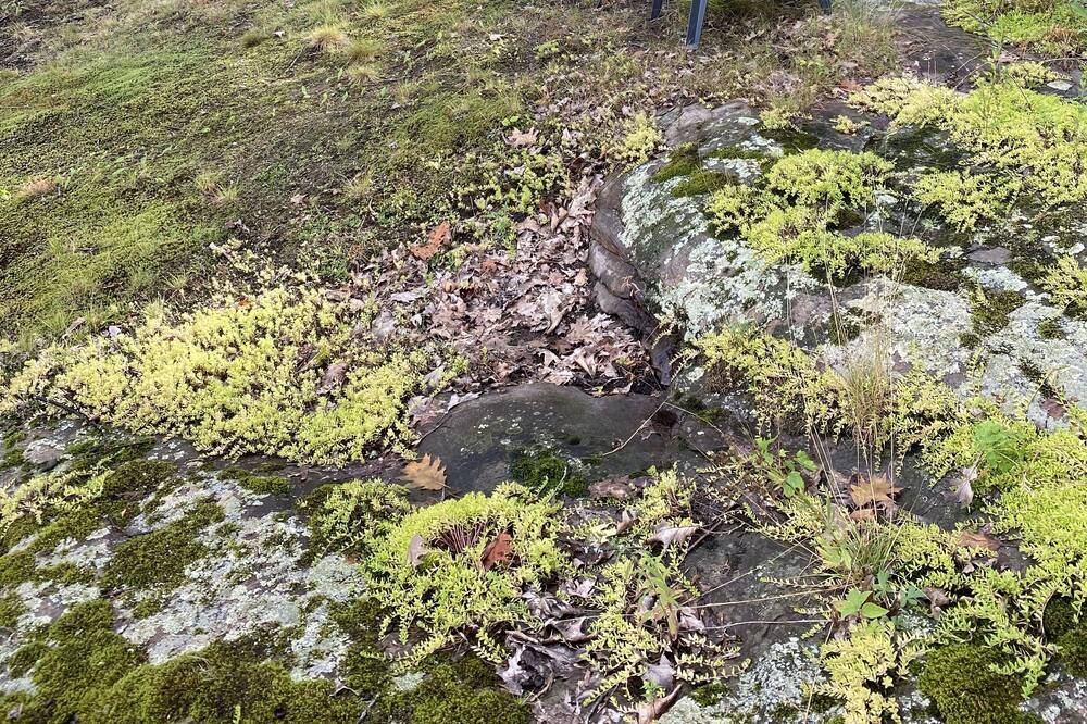 Photo of Outdoor in Frontenac
