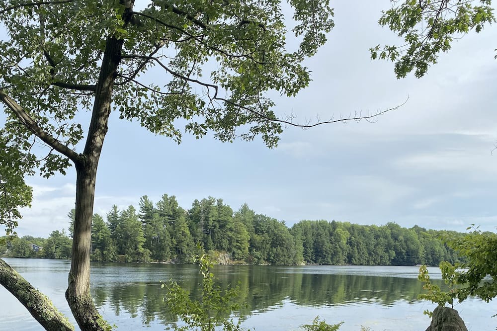 Photo of Others in Frontenac