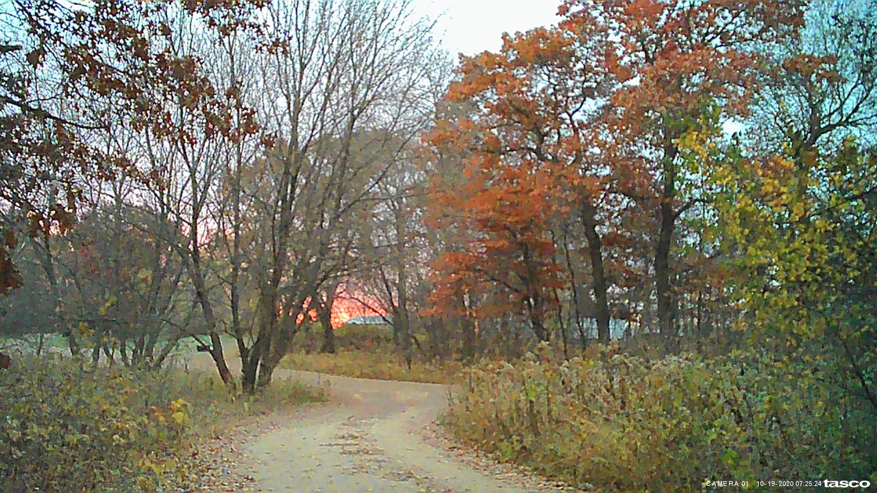 Photo of Outdoor in Cambridge
