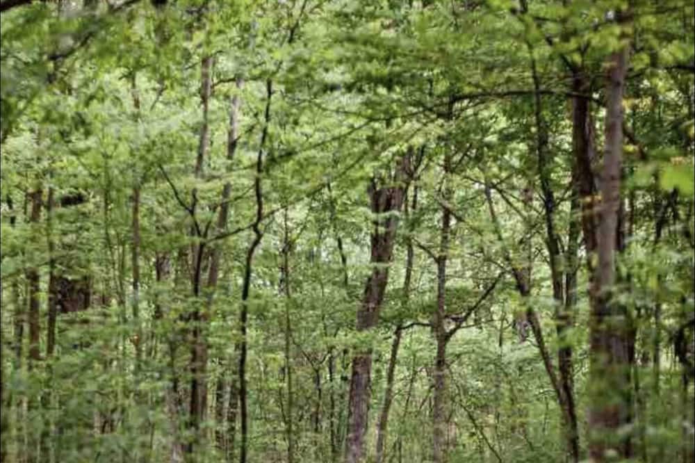Photo of Outdoor in Hamilton