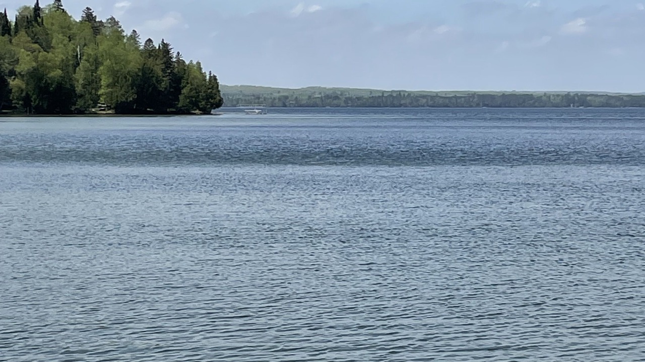 Photo of Others in Walker