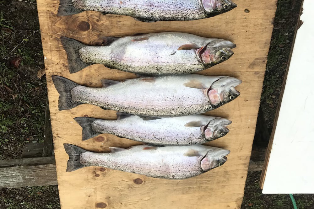 Photo of Others in Manitoulin District