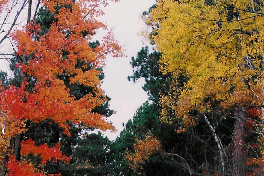 Photo of Others in Squaw Lake