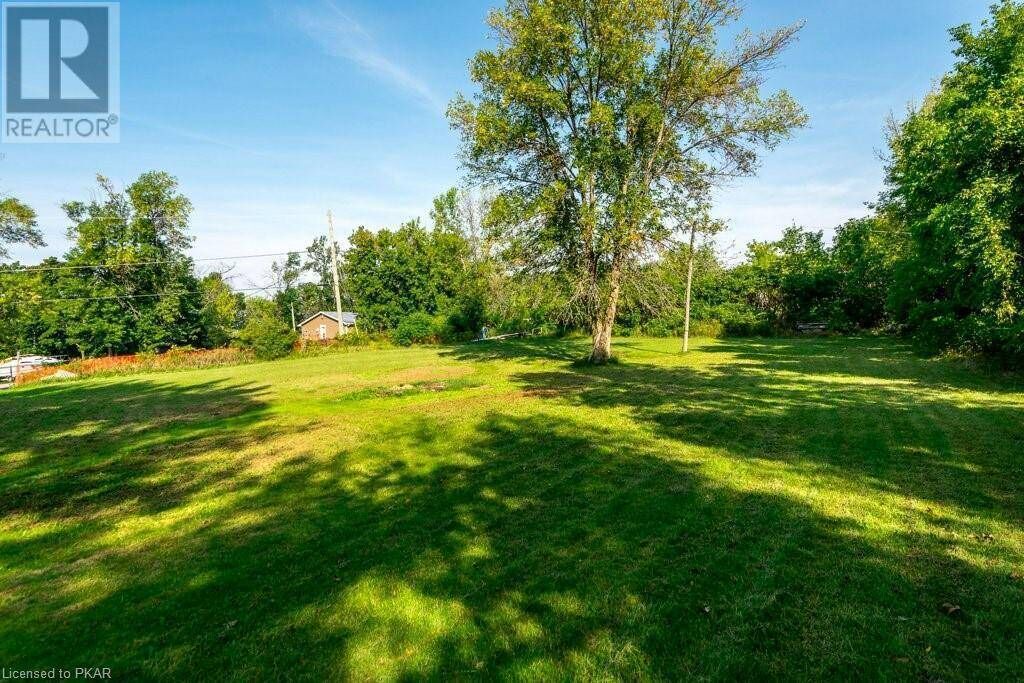 Photo of Outdoor in Roseneath