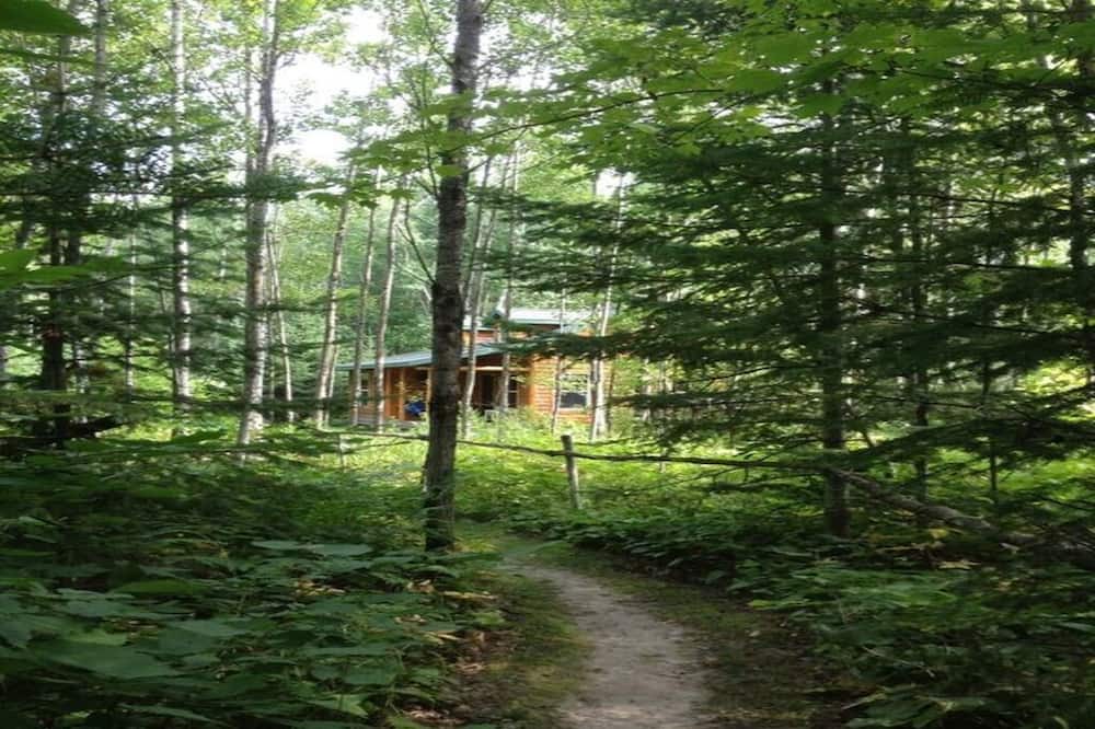 Photo of Outdoor in Melrude