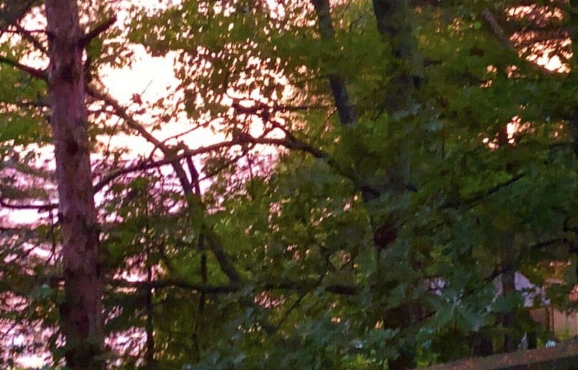 Photo of Outdoor in Tiny
