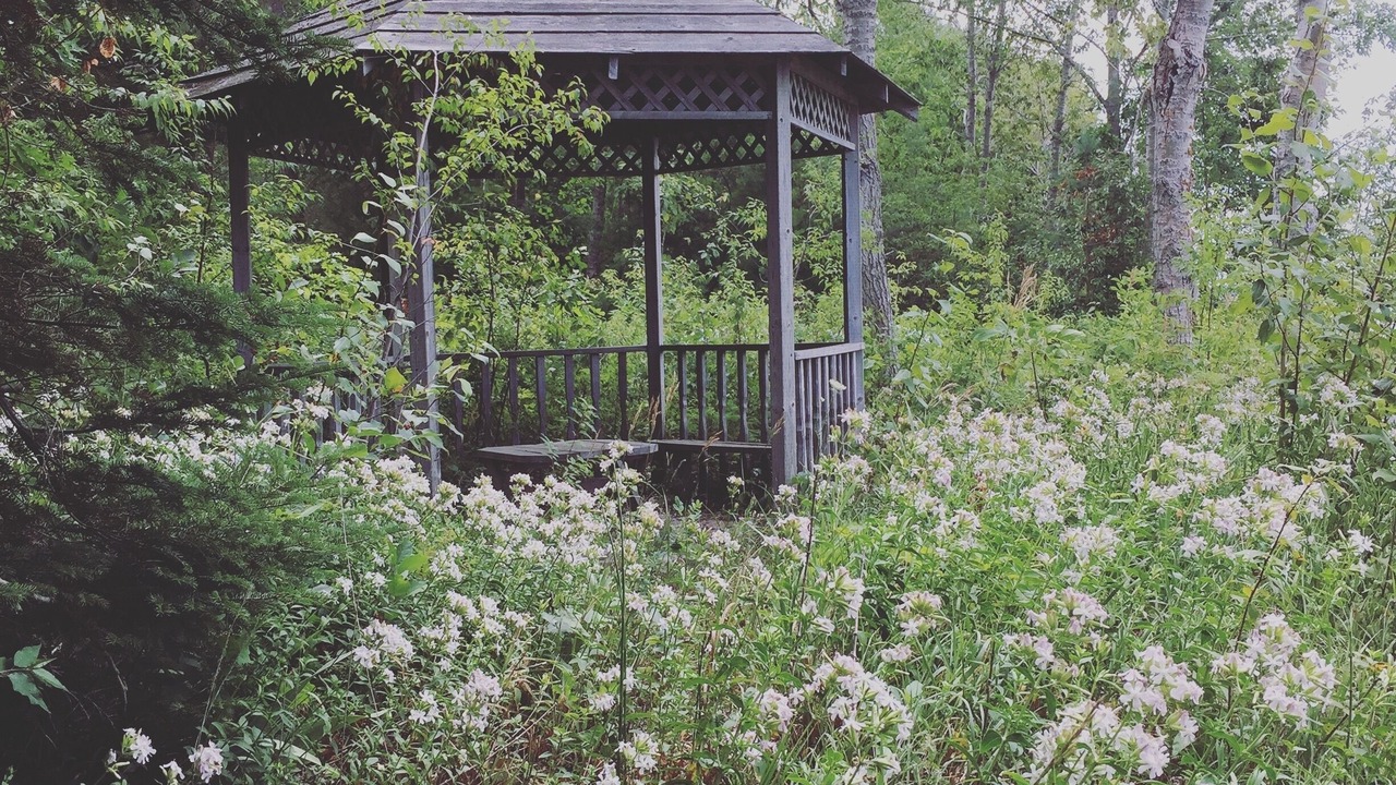 Photo of Outdoor in Tiny