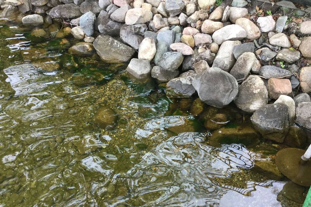 Photo of Outdoor in Girard