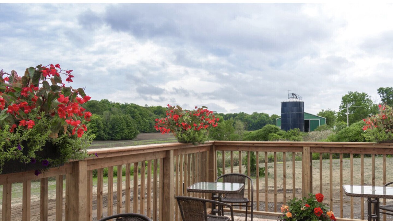 Photo of Patio Balcony in Milford