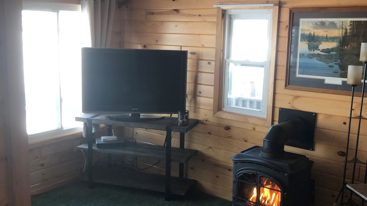 Photo of Livingroom in Deer River