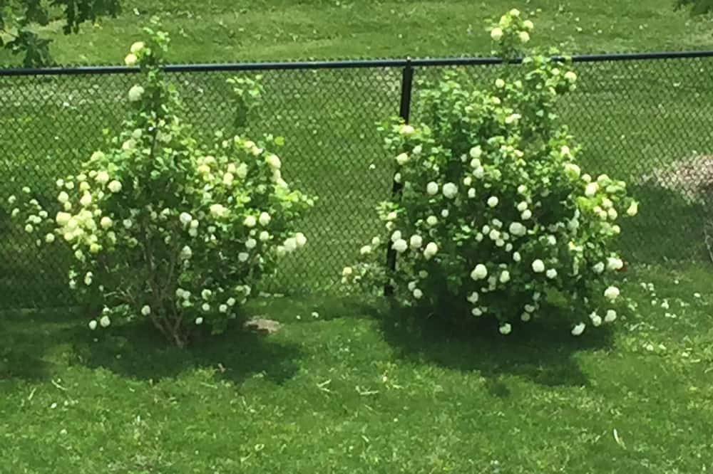 Photo of Outdoor in Meadowvale Village