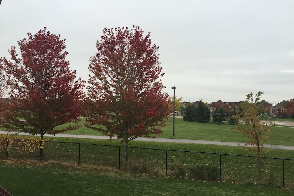 Photo of Others in Meadowvale Village