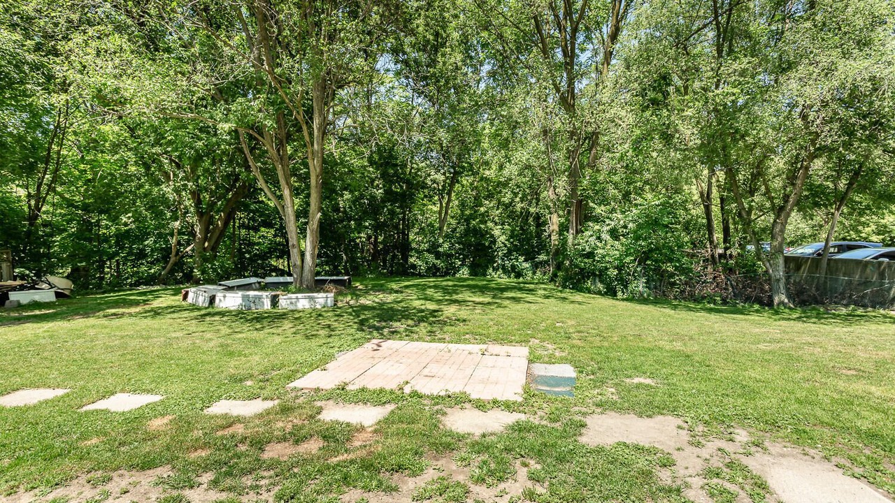 Photo of Outdoor in Hamilton