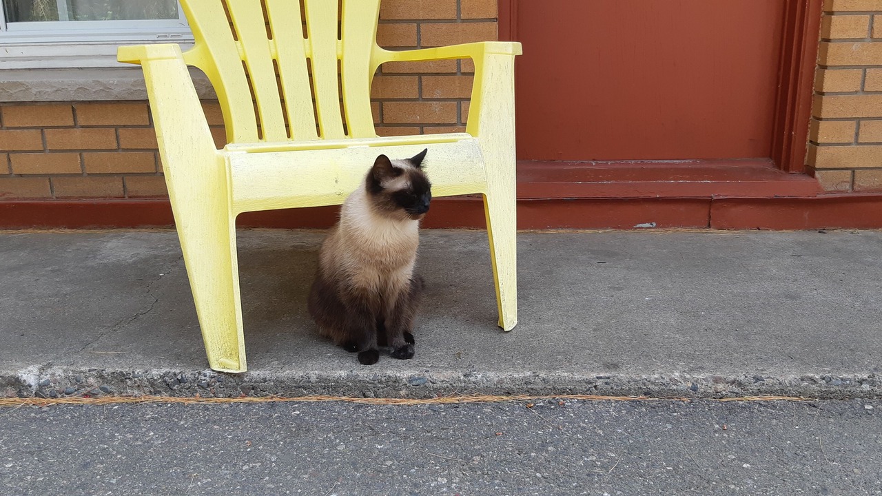 Photo of Others in Algoma District