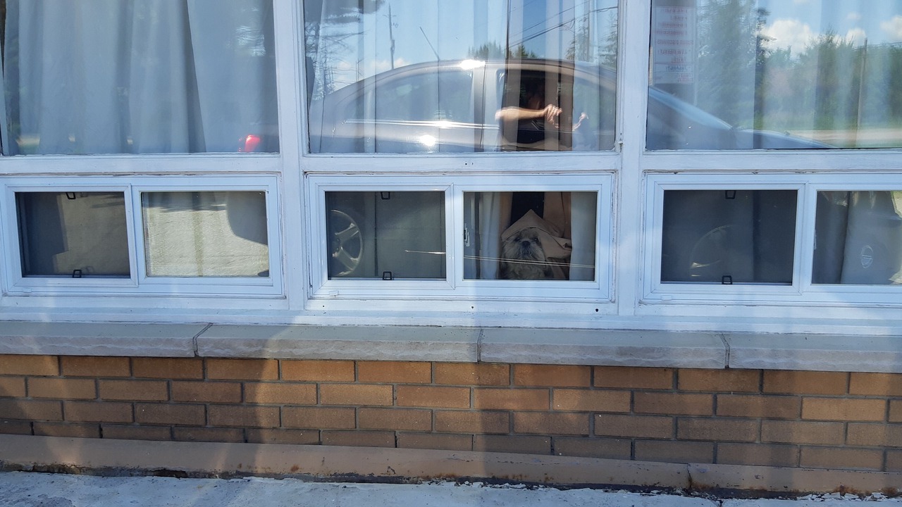 Photo of Others in Algoma District