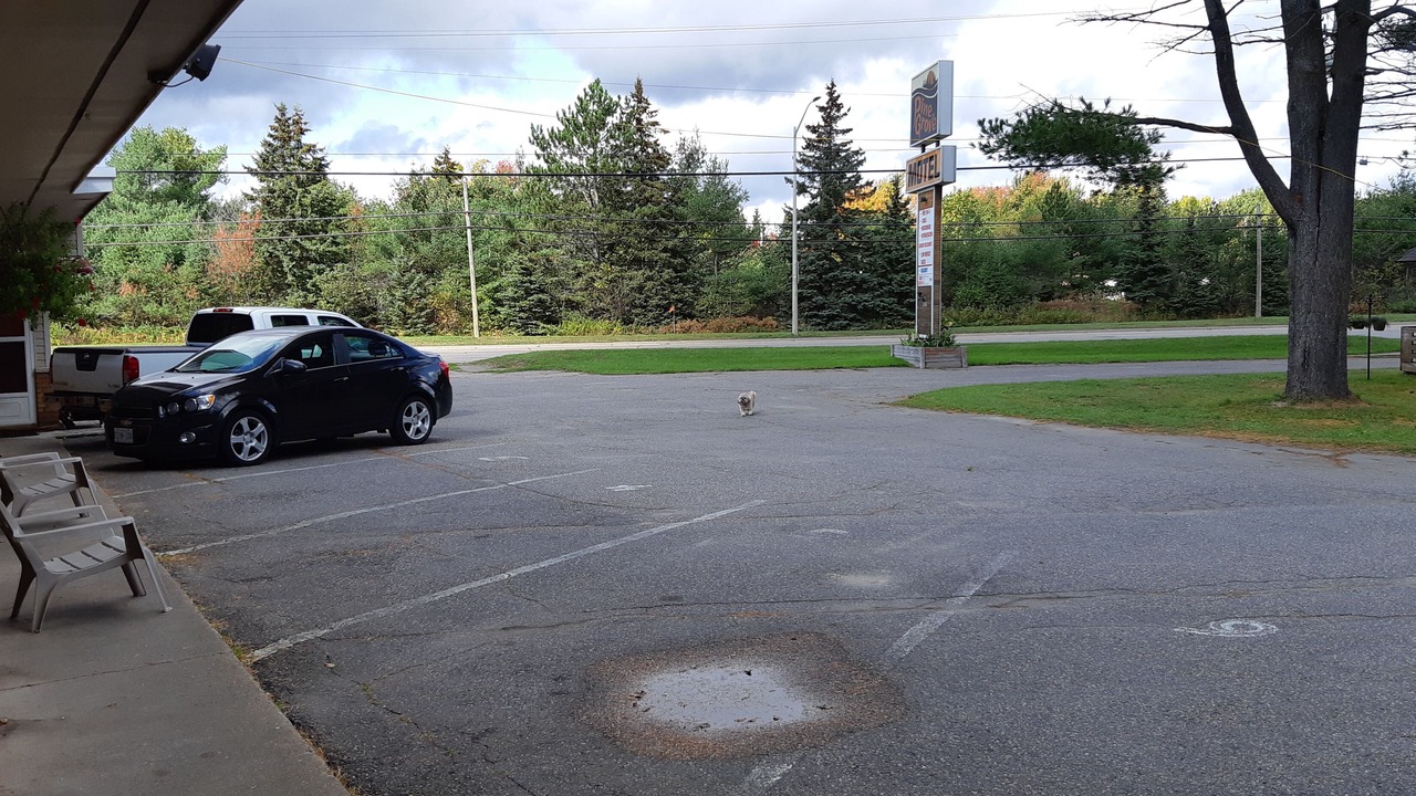 Photo of Others in Algoma District