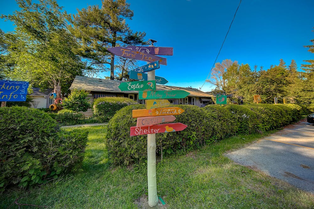 Photo of Outdoor in Georgina